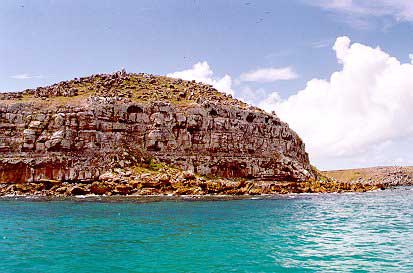 41kb - Mato Verde - Ilha de Santa Bárbara